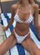 Set Siena , Print, S, S